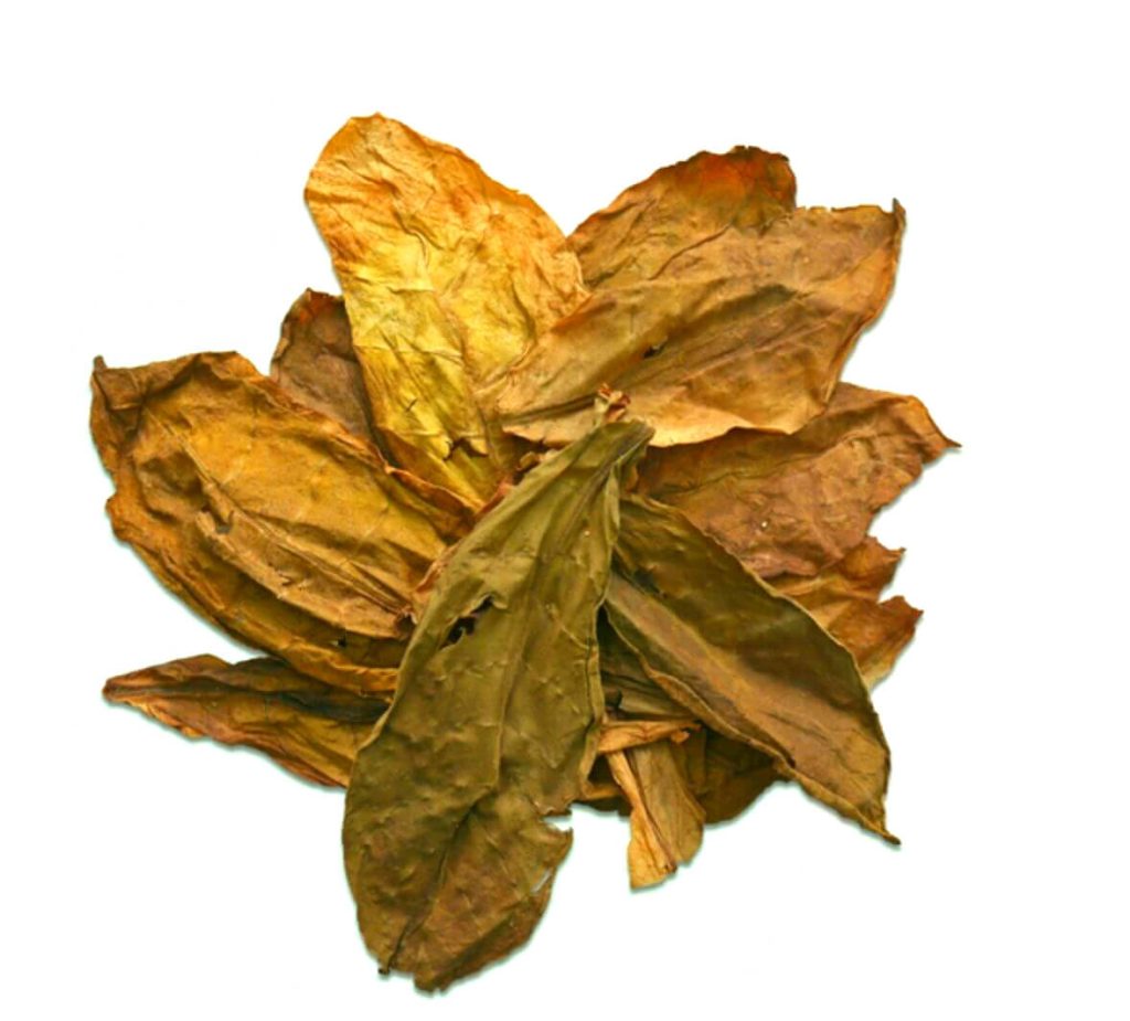 Explore the Allure of Izmir tobacco leaves